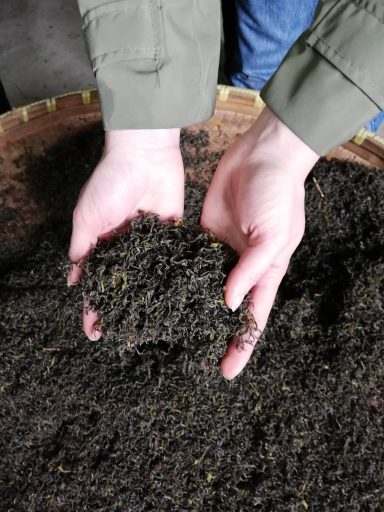 Meg lifting handfuls of oxidising tea leaves from a bamboo tray